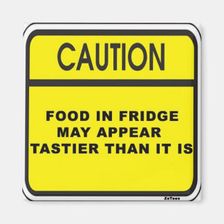 Food Illusion Magnet