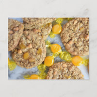 Food Photography Butterscotch Oatmeal Cookies