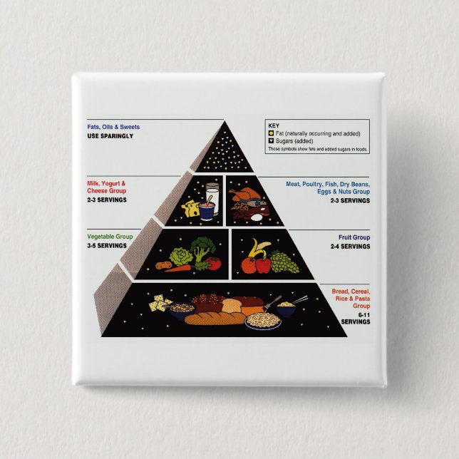 Food Pyramid 15 Cm Square Badge (Front)