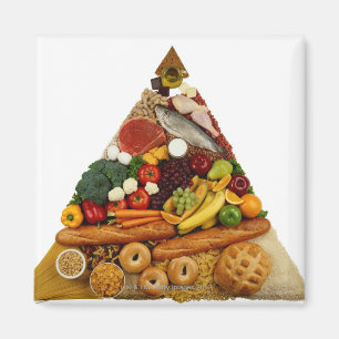 Food Pyramid Magnet