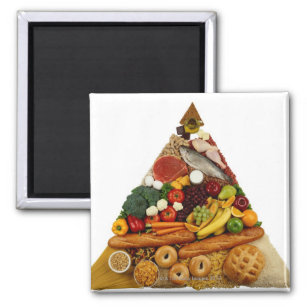 Food Pyramid Magnet