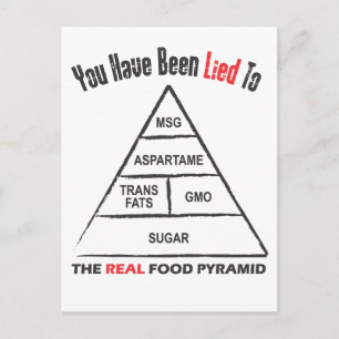 Food Pyramid Postcard