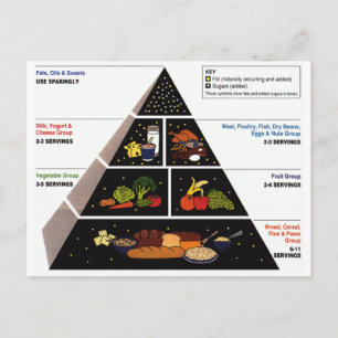 Food Pyramid Postcard