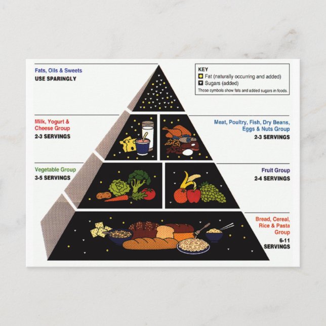 Food Pyramid Postcard (Front)