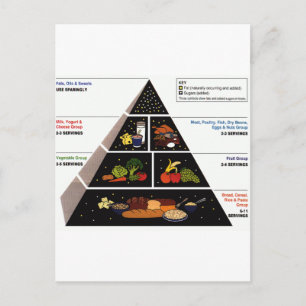 Food Pyramid Postcard