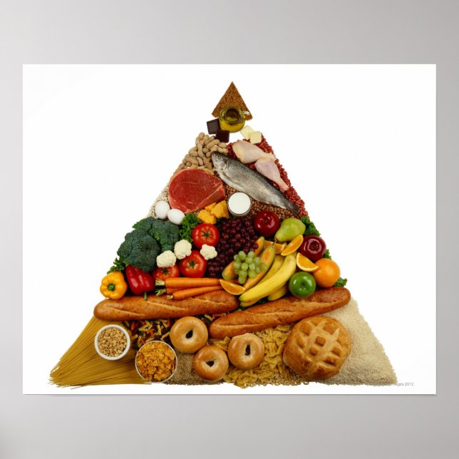 Food Pyramid Poster (Front)