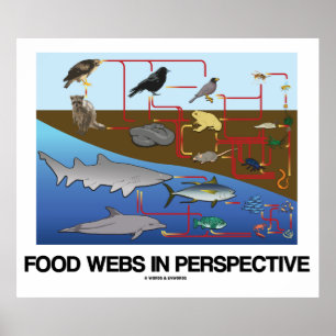 Food Webs In Perspective (Ocean / Land Biology) Poster