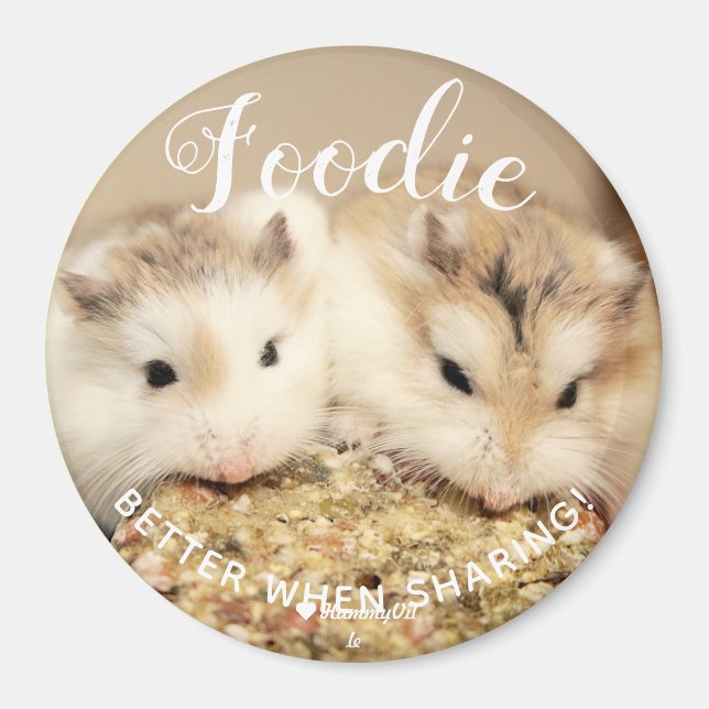 Foodie Cute Robo Pair Hamsters Magnet (Front)