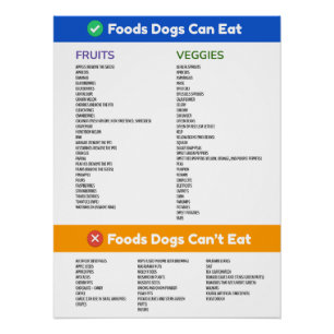 Foods Dogs Can and Can't Eat Large Poster