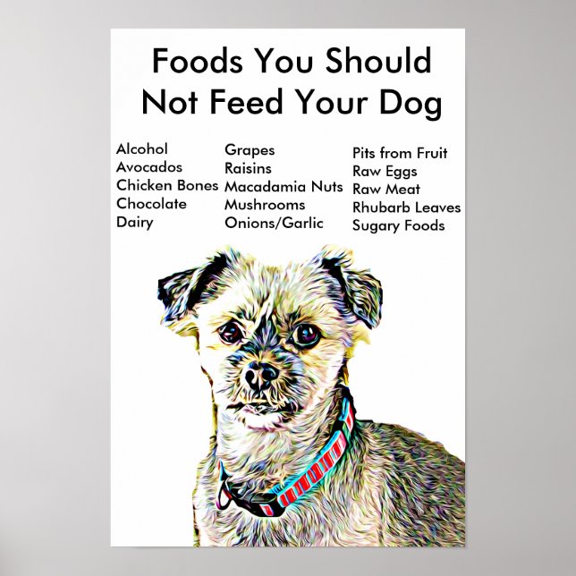 Foods You Should Not Feed Your Dog Poster (Front)