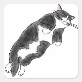 FooFooCat: Lazy Jumbo Tuxedo Cat Square Sticker