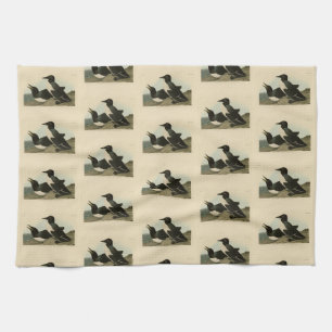 Foolish Guillemot from Audubon's Birds of America Tea Towel