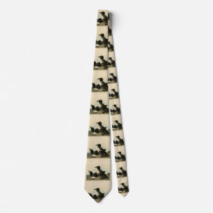 Foolish Guillemot from Audubon's Birds of America Tie
