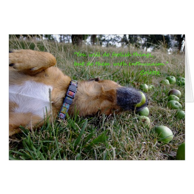 Foolish things (Front Horizontal)