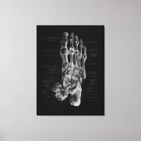 Foot Anatomy Podiatrist Medical Poster