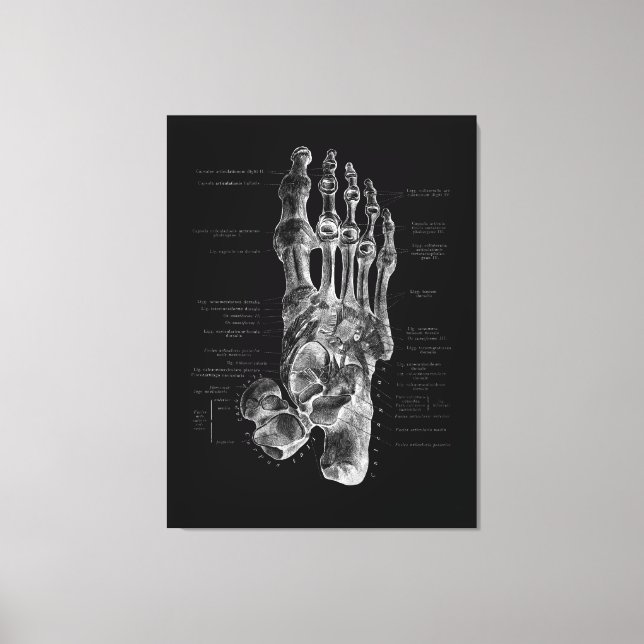 Foot Anatomy Podiatrist Medical Poster Canvas Print (Front)