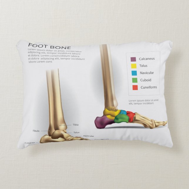  Foot Bone Anatomy Decorative Cushion (Front)