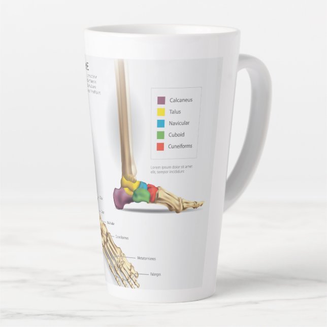  Foot Bone Anatomy Latte Mug (Right Angle)