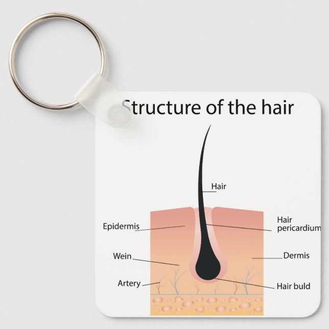  foot bones anatomy  key ring (Front)