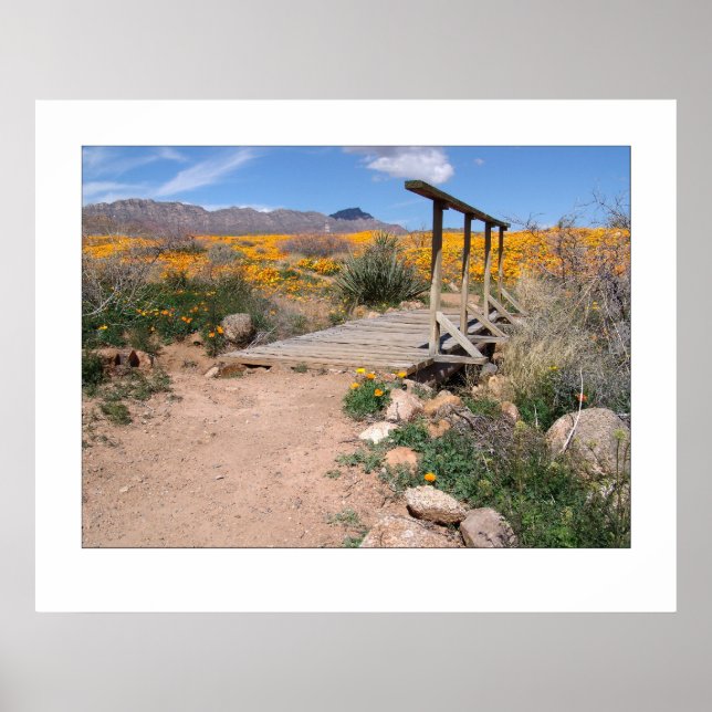 Foot Bridge & Poppies Poster (Front)