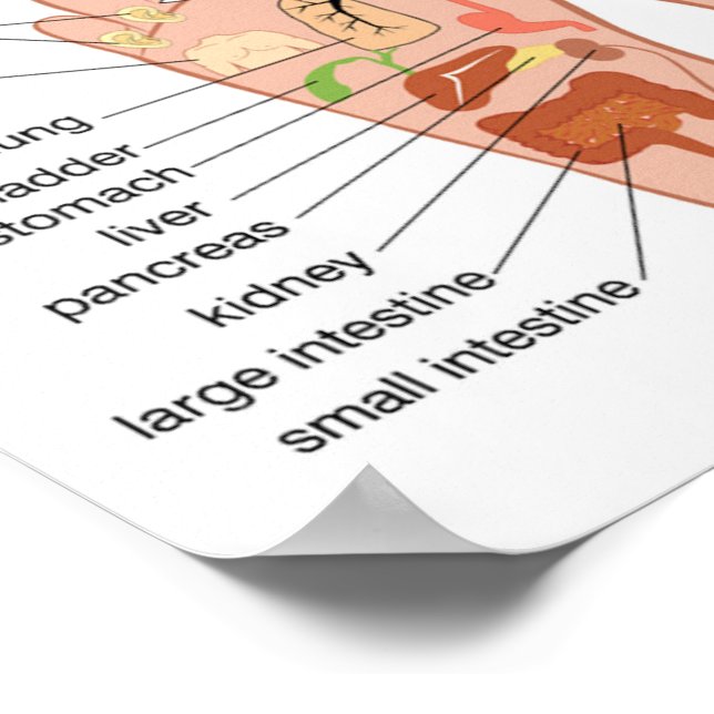 foot Reflexology 12x10" Poster (Corner)