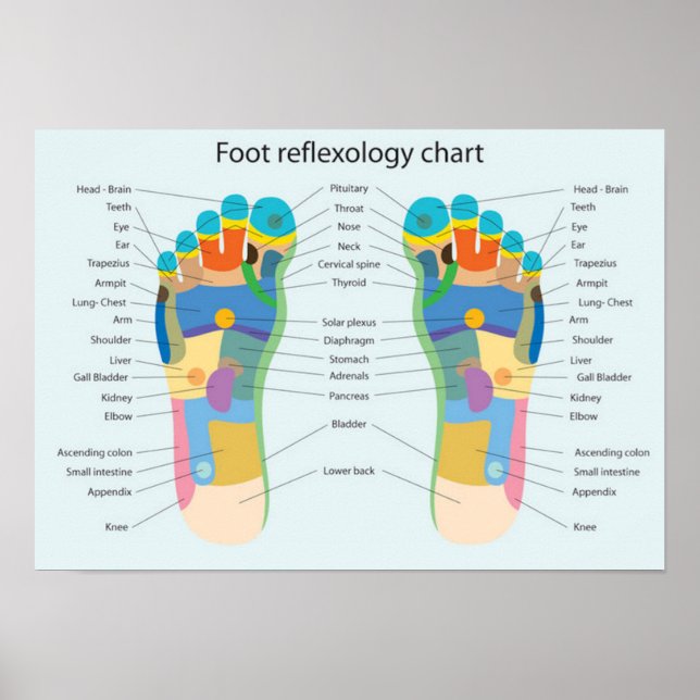 Foot Reflexology 18x13" Poster (Front)