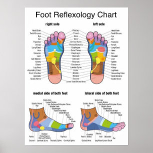 Foot Reflexology -18x24" Poster