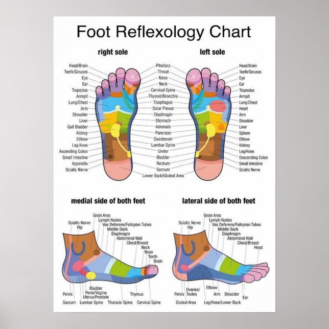 Foot Reflexology -18x24" Poster (Front)