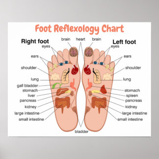 Foot Reflexology 20x16" Poster