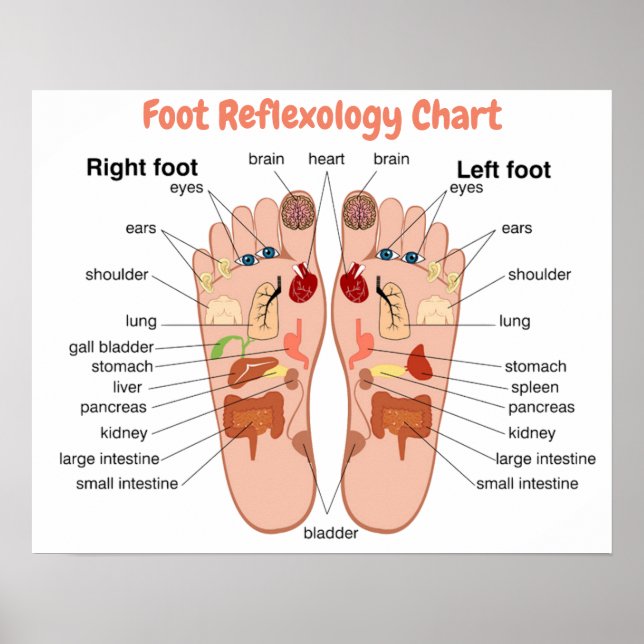 Foot Reflexology 20x16" Poster (Front)