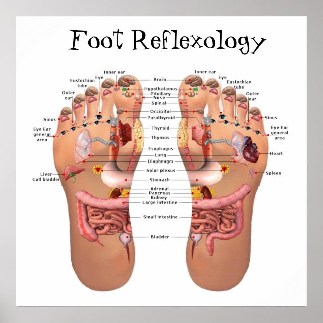 Foot Reflexology 24x24" Poster (Front)