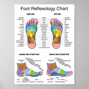 foot reflexology 7x9" poster