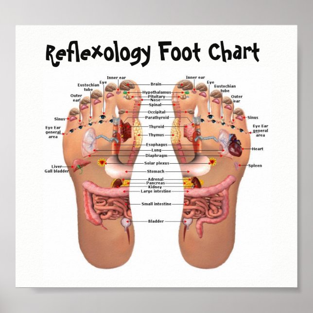 foot reflexology 8x7" poster (Front)