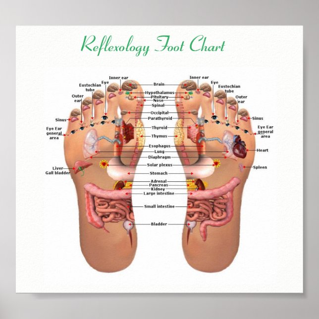 foot reflexology  8x7" poster (Front)