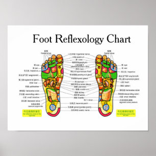 Foot Reflexology Chart