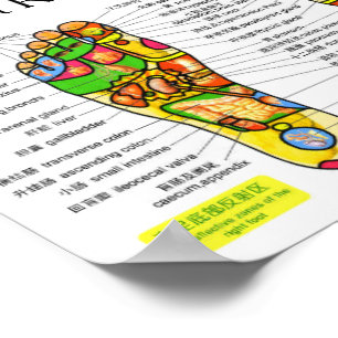 Foot Reflexology Chart 10x7"