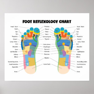 Foot Reflexology Chart 20" x 16", (Matte)