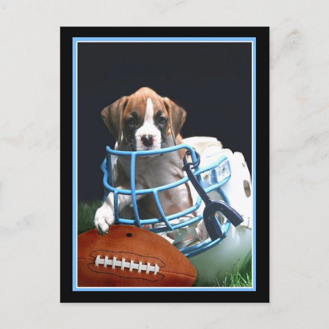 Football Boxer puppy postcard (Front)