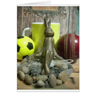 Football Cricket spectator sports