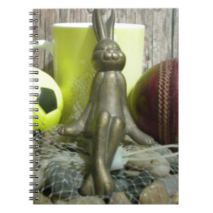 Football Cricket spectator sports Notebook