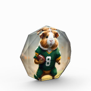 Football Guinea Pig, Photo Block