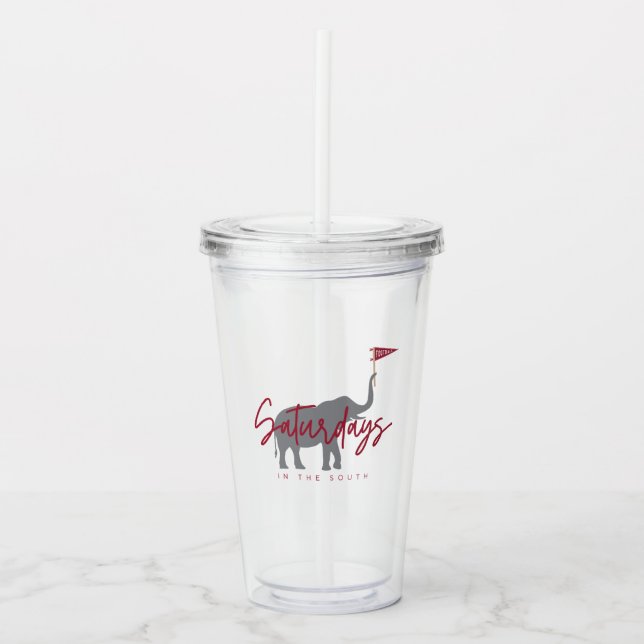 Football Saturdays in the South Acrylic Tumbler (Front)