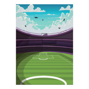 Football Stadium Photo Print