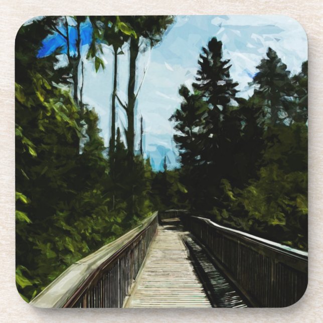 Footbridge Over Canadian Canyon Coaster (Front)