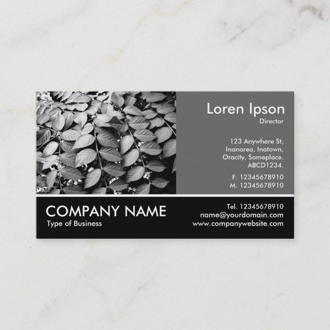 Footed Photo - 60pc Grey - Leaves Business Card (Front)