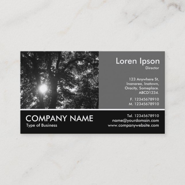Footed Photo - 60pc Grey - Sun Through Trees Business Card (Front)