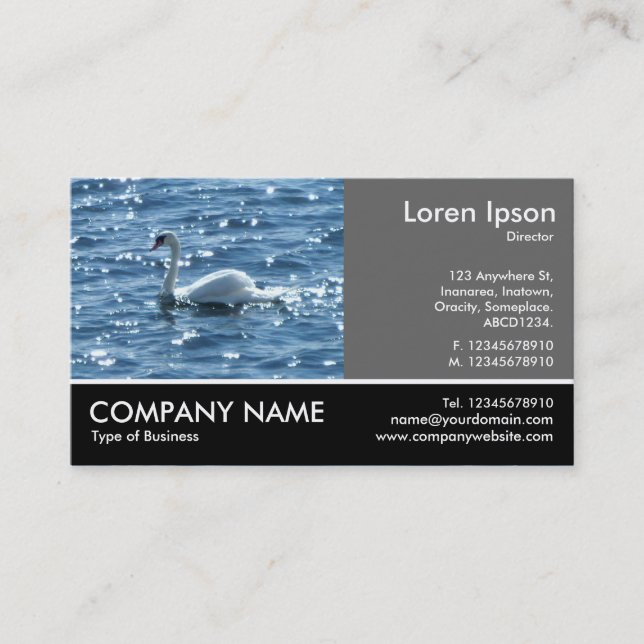 Footed Photo - 60pc Grey - Swan Business Card (Front)