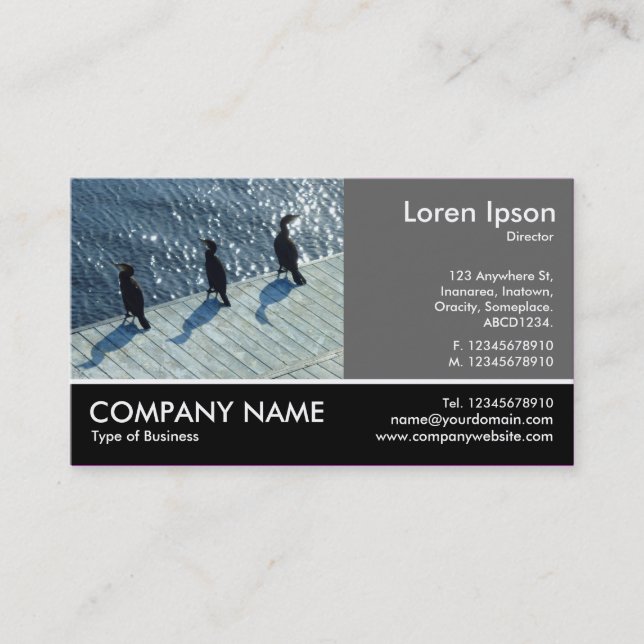 Footed Photo - 60pc Grey - Three Cormorants Business Card (Front)