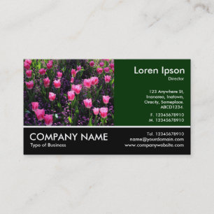 Footed Photo - Bed of Pink Tulips Business Card