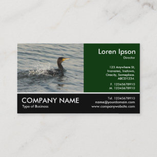 Footed Photo - Cormorant Learning to Swim Business Card